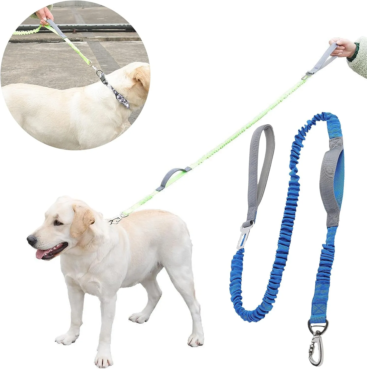 2 in 1 Dog Bungee Leash & Car Seatbelt-Blue