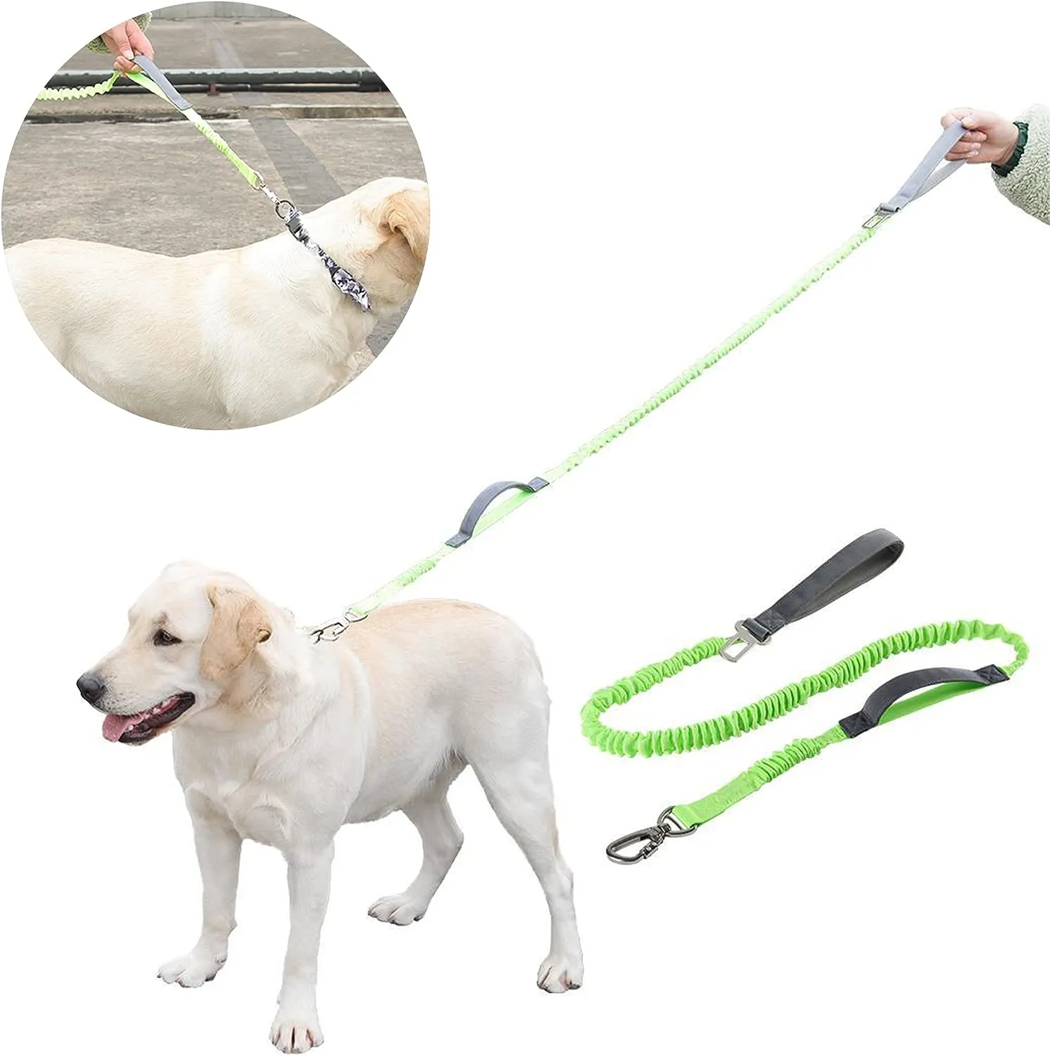 2 in 1 Dog Bungee Leash & Car Seatbelt-Green