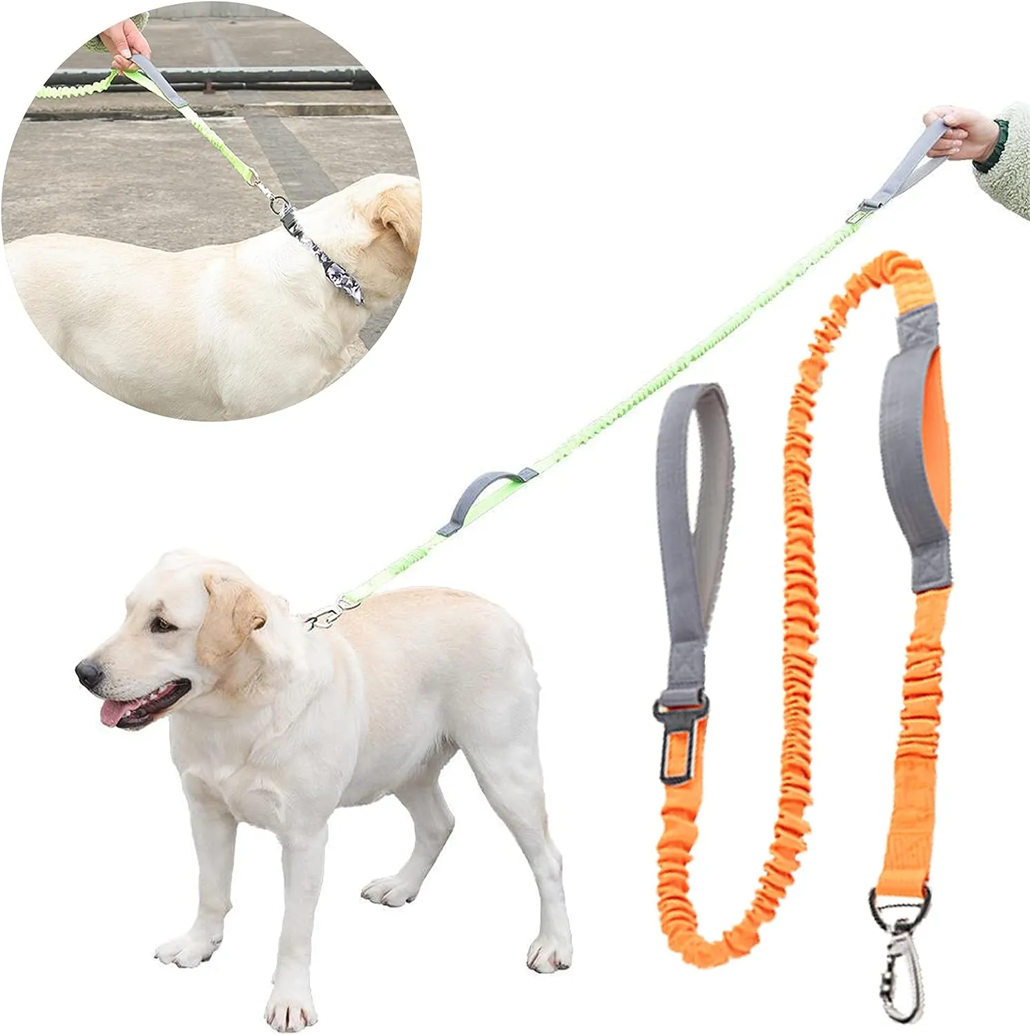 2 in 1 Dog Bungee Leash & Car Seatbelt-Orange