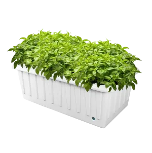 DWC Hydroponic System - XL 12