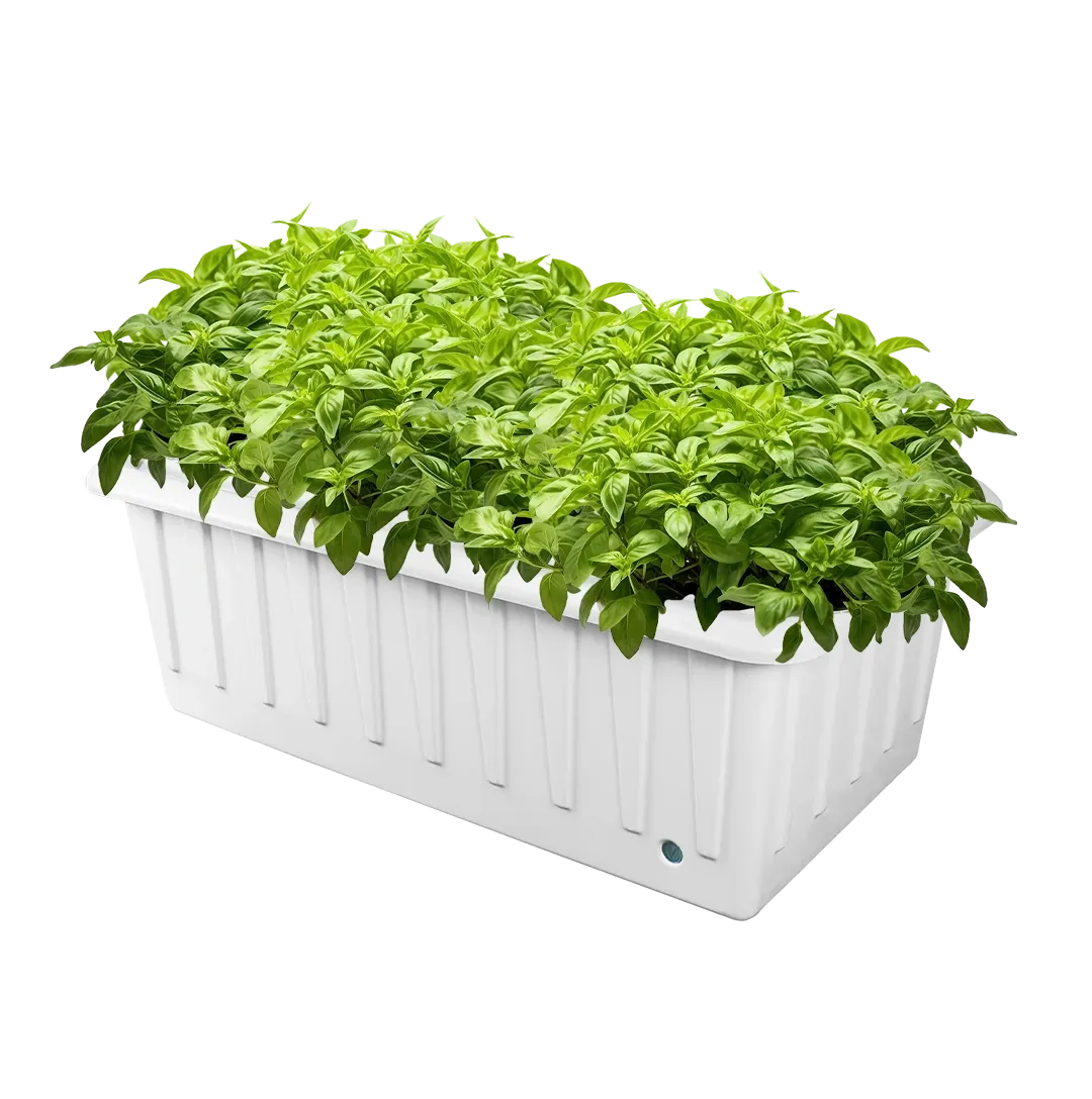 DWC Hydroponic System - XL 12