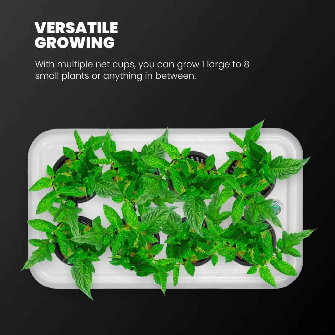 DWC Hydroponic System - XL 12