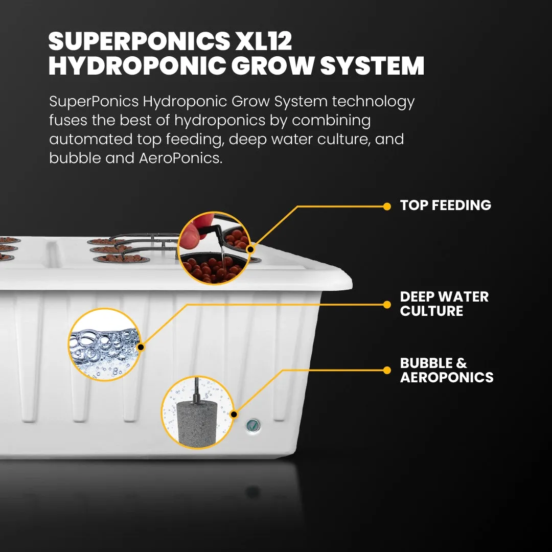 DWC Hydroponic System - XL 12